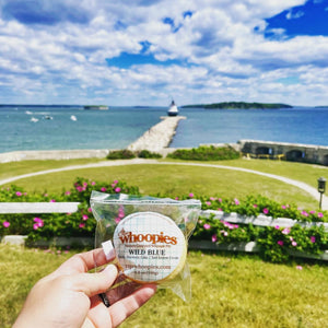 Maine's Historic Lighthouses: A Tour of the State's Most Iconic Beacons